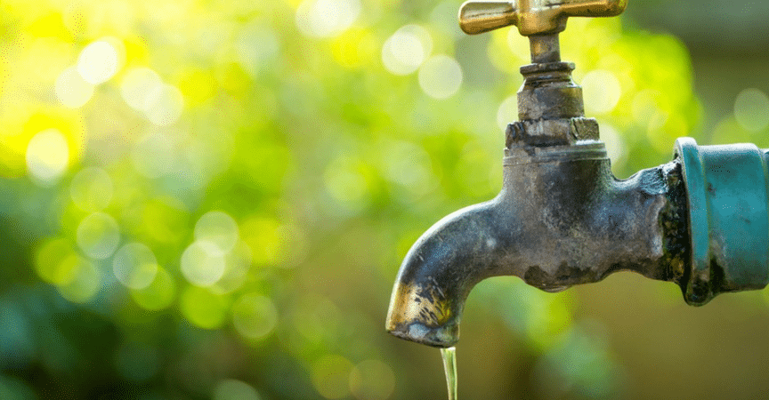 Cómo regar y ahorrar agua en tu jardín