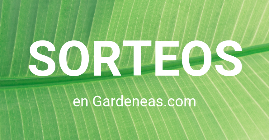 ¡Tenemos novedades!