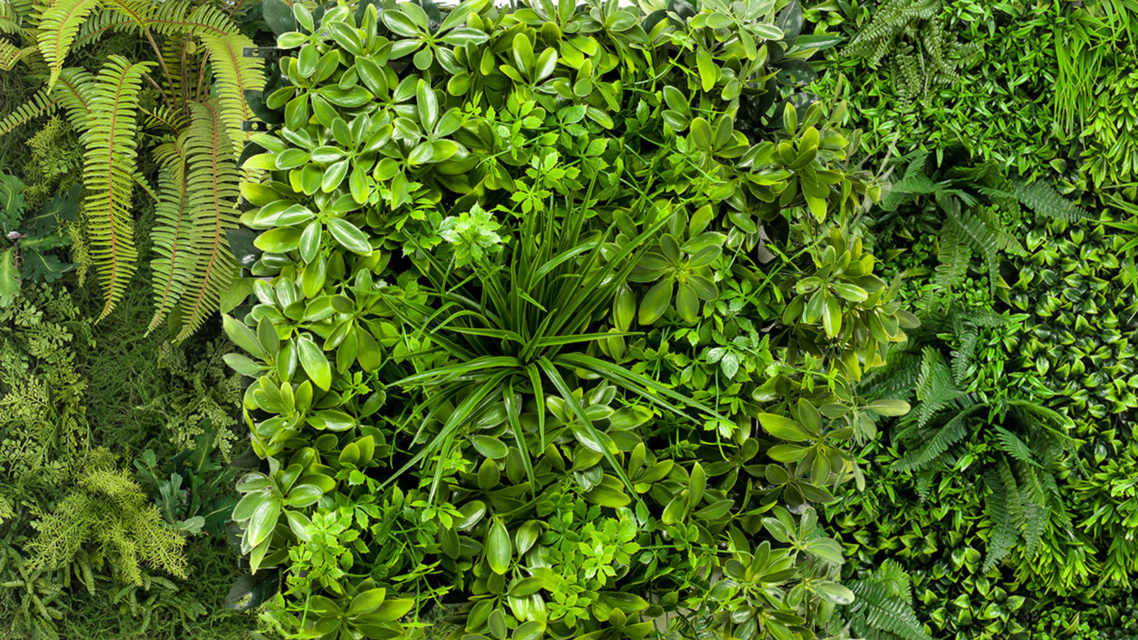 Jardines artificiales y sus beneficios
