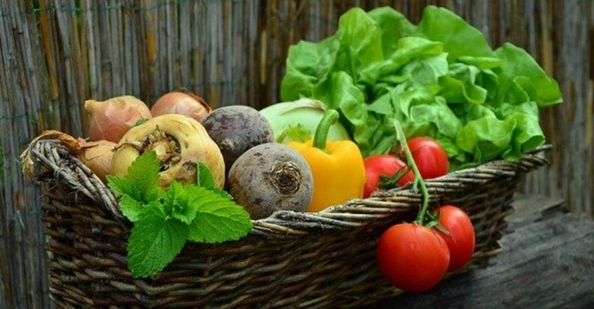 Web _ Blog _ Imagen Banner Post_Qué_cultivar_en_marzo