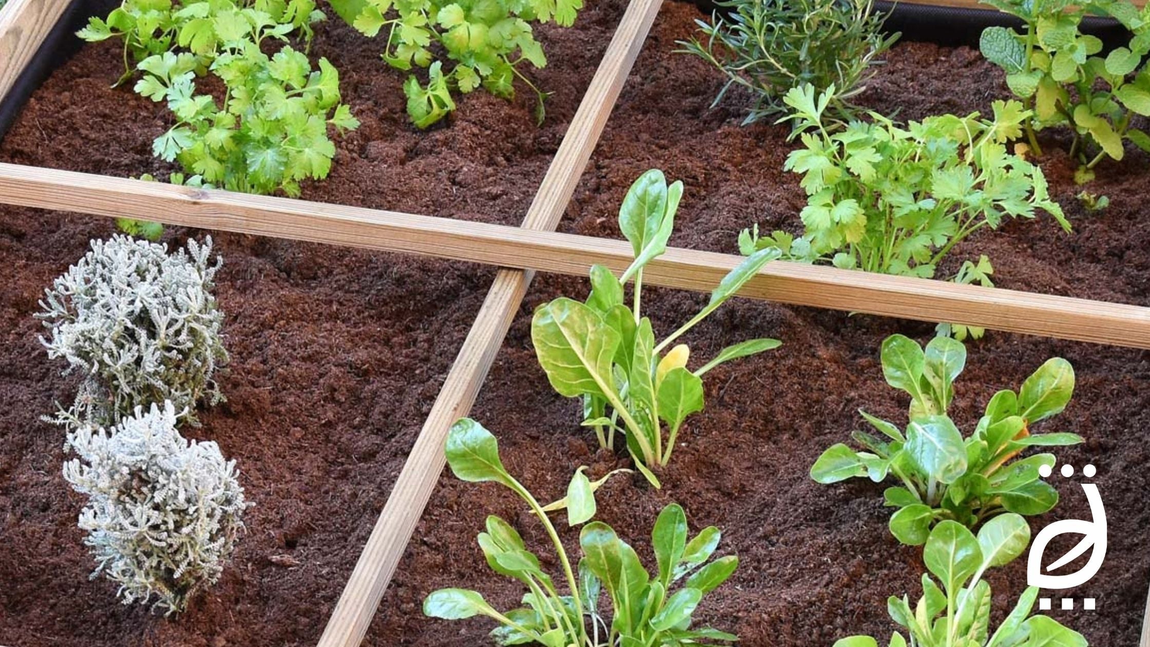 T3-BANNER-BLOG-Que-cultivar-en-mayo
