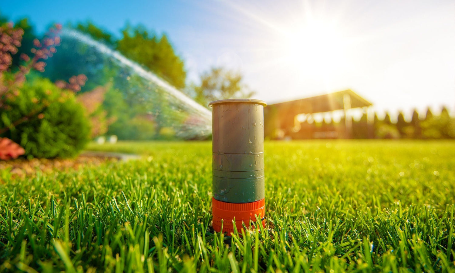 como-elegir-los-mejores-aspersores-para-tu-jardin