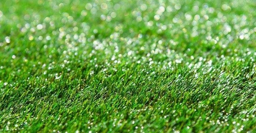 web-blog-curiosidades-sobre-cesped-artificial