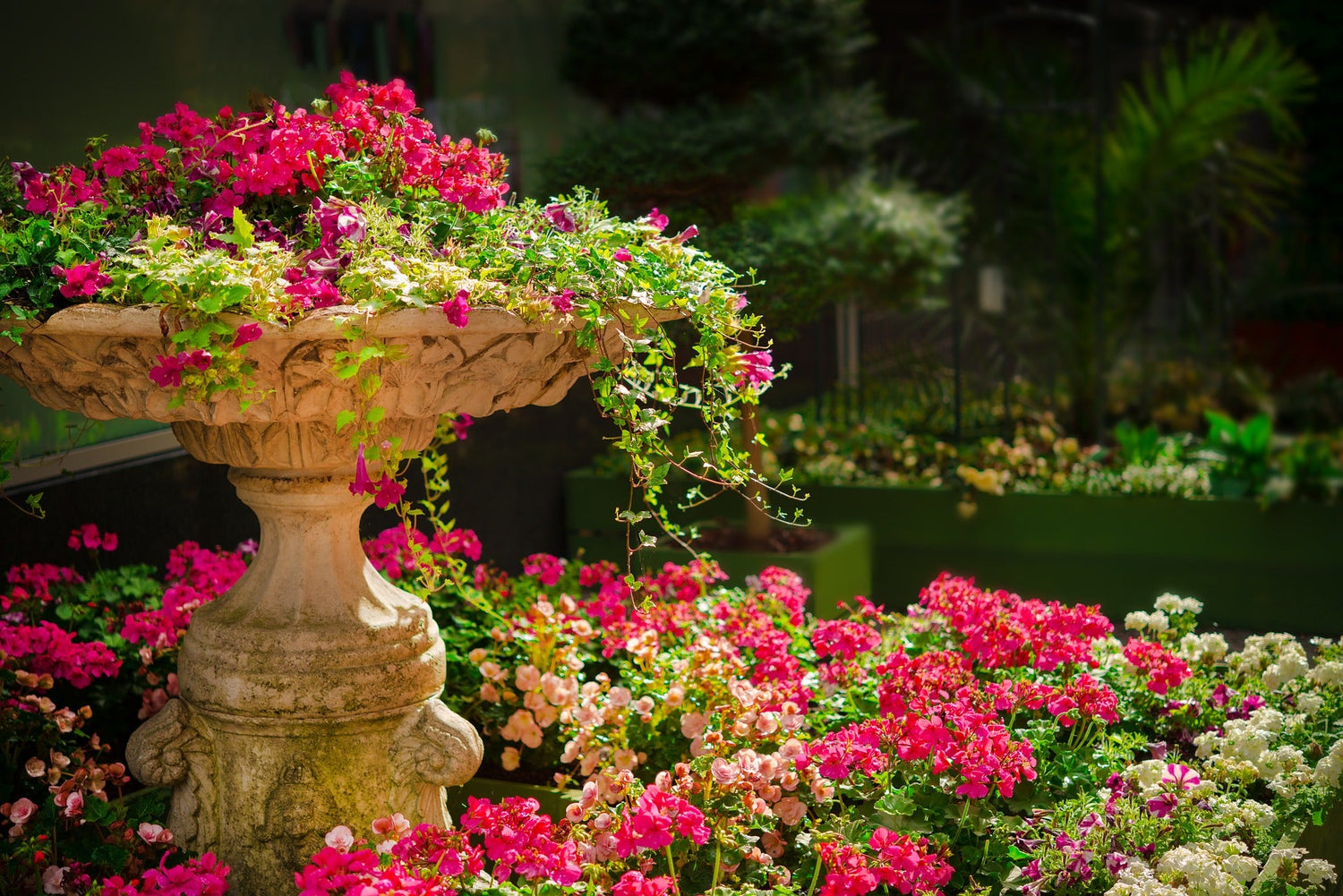 ¿Quieres conseguir tu jardín perfecto?