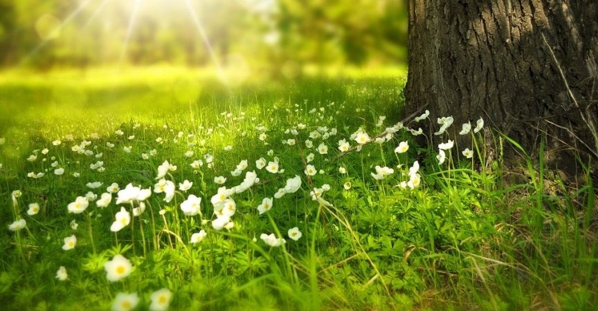 web-blog-imagen-comienza-primavera