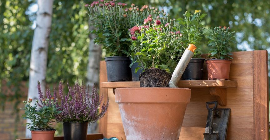 Prepara tu Jardín para la Primavera 