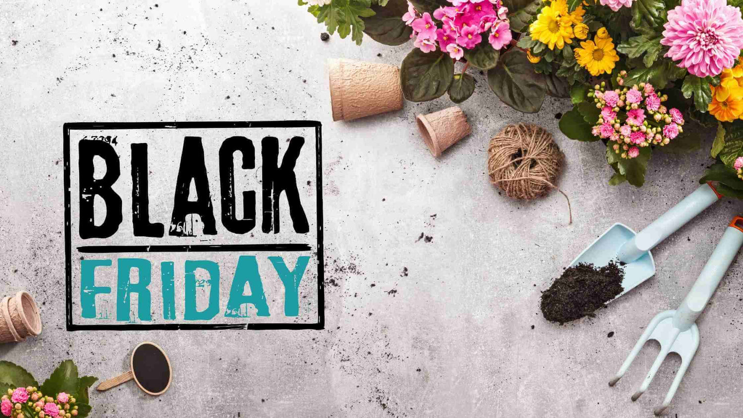 Black Friday Anticipado en Gardeneas