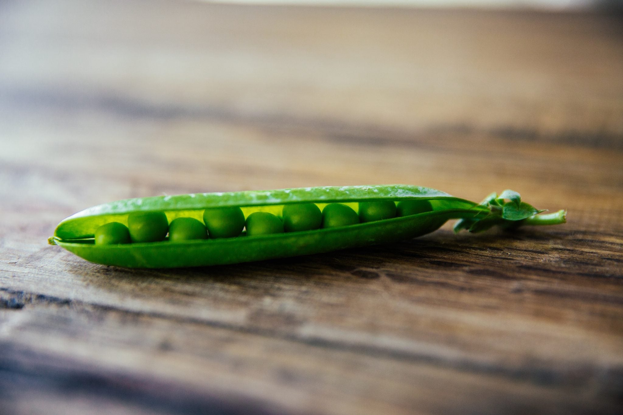 8 vegetales que puedes sembrar en enero