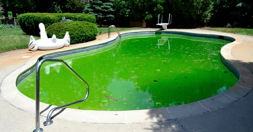 Cómo eliminar las algas de la piscina
