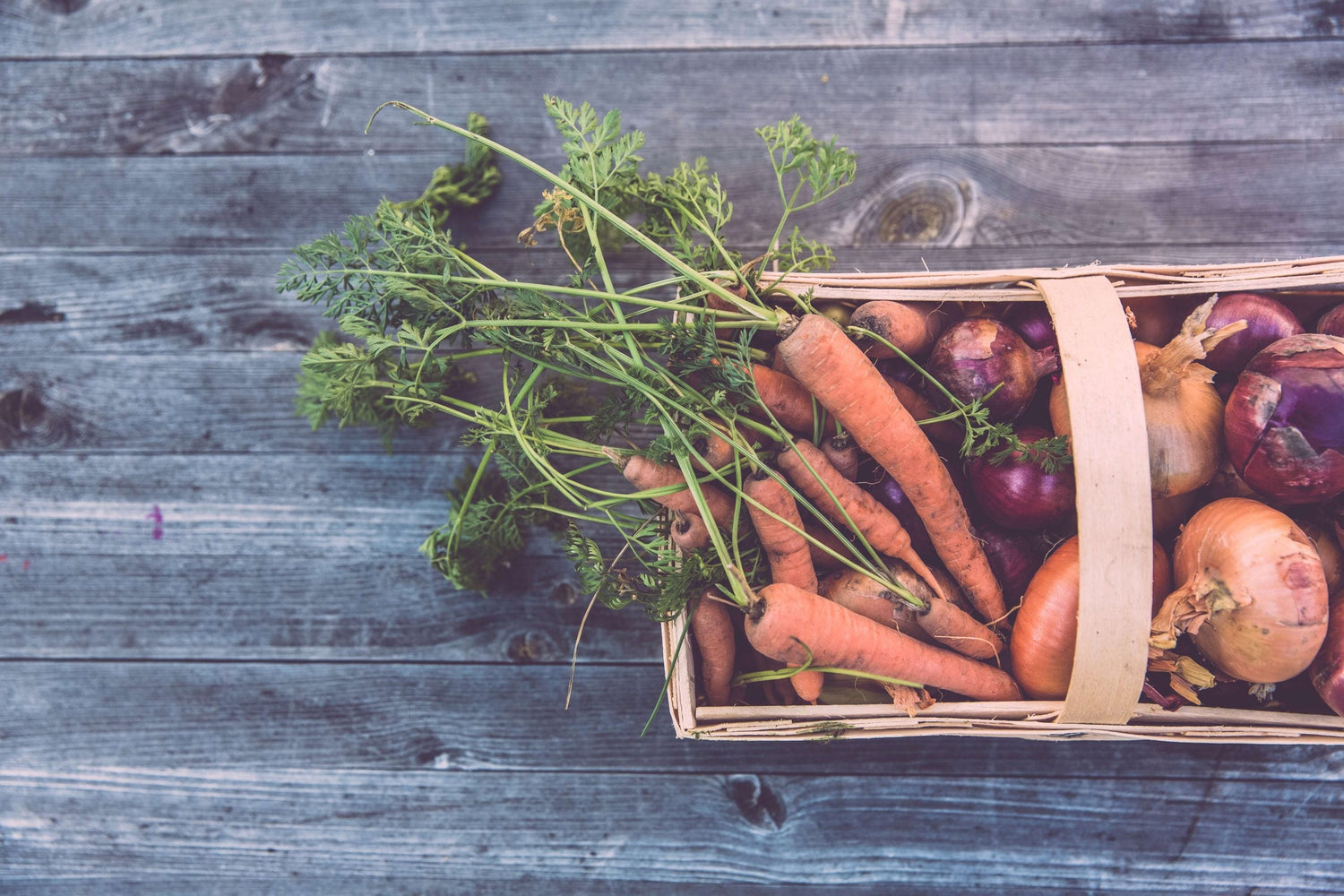 verduras que puedes sembrar en diciembre