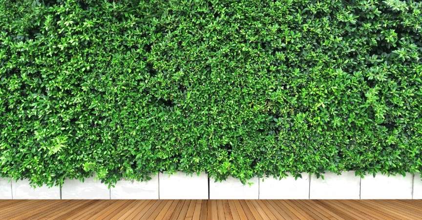 como-instalar-un-jardin-vertical-01
