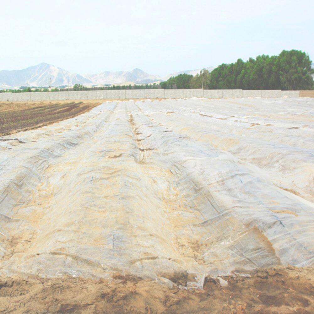 Plástico Agrícola Natural - 750m²