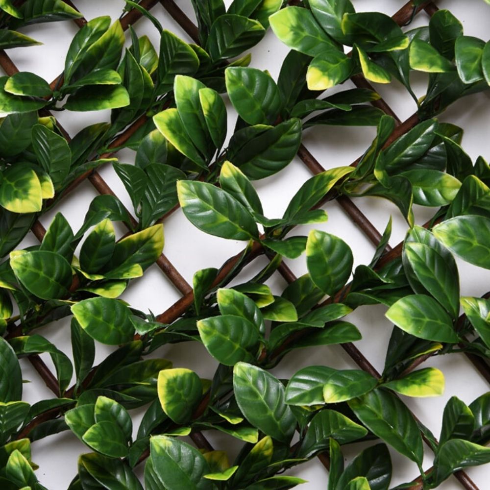 Celosía Mimbre hojas de Laurel - FAURA