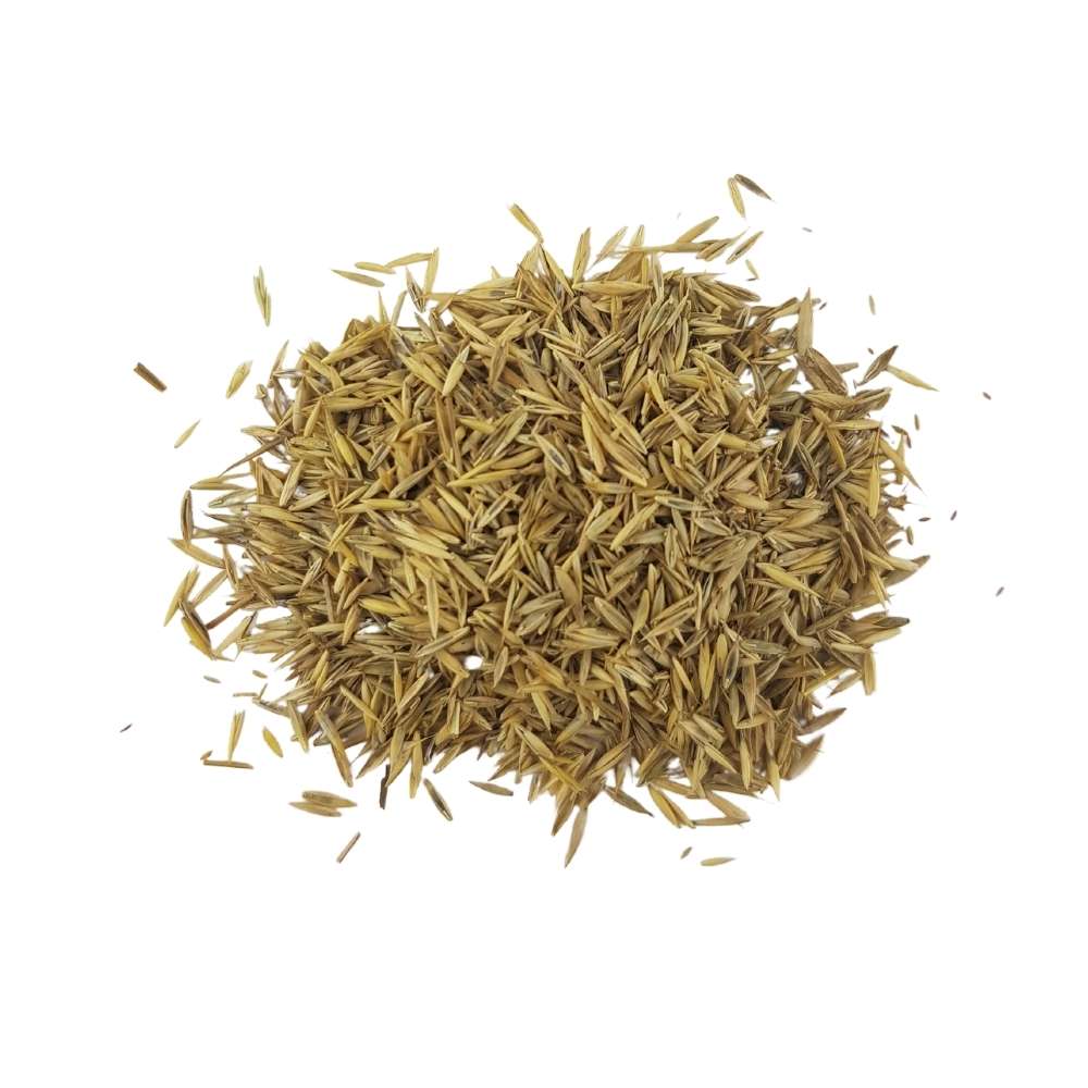 Semillas de Siembra CLASICA Dalmau - 5 kg