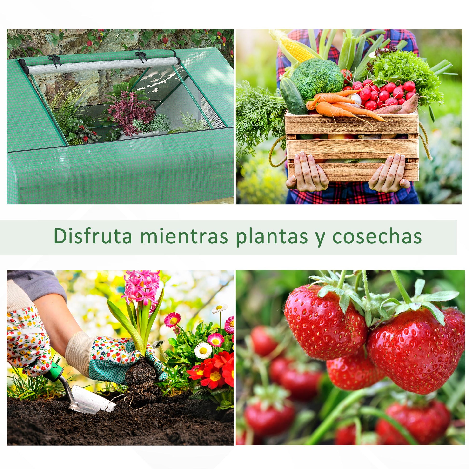 Outsunny Invernadero de Exterior, 180x140x80 cm, Invernadero Pequeño con 4 Ventanas Enrollables de Malla, Marco de Acero y Cubierta PE 140g/㎡ Anti-UV para Jardin, Cultivos, Plantas, Verde