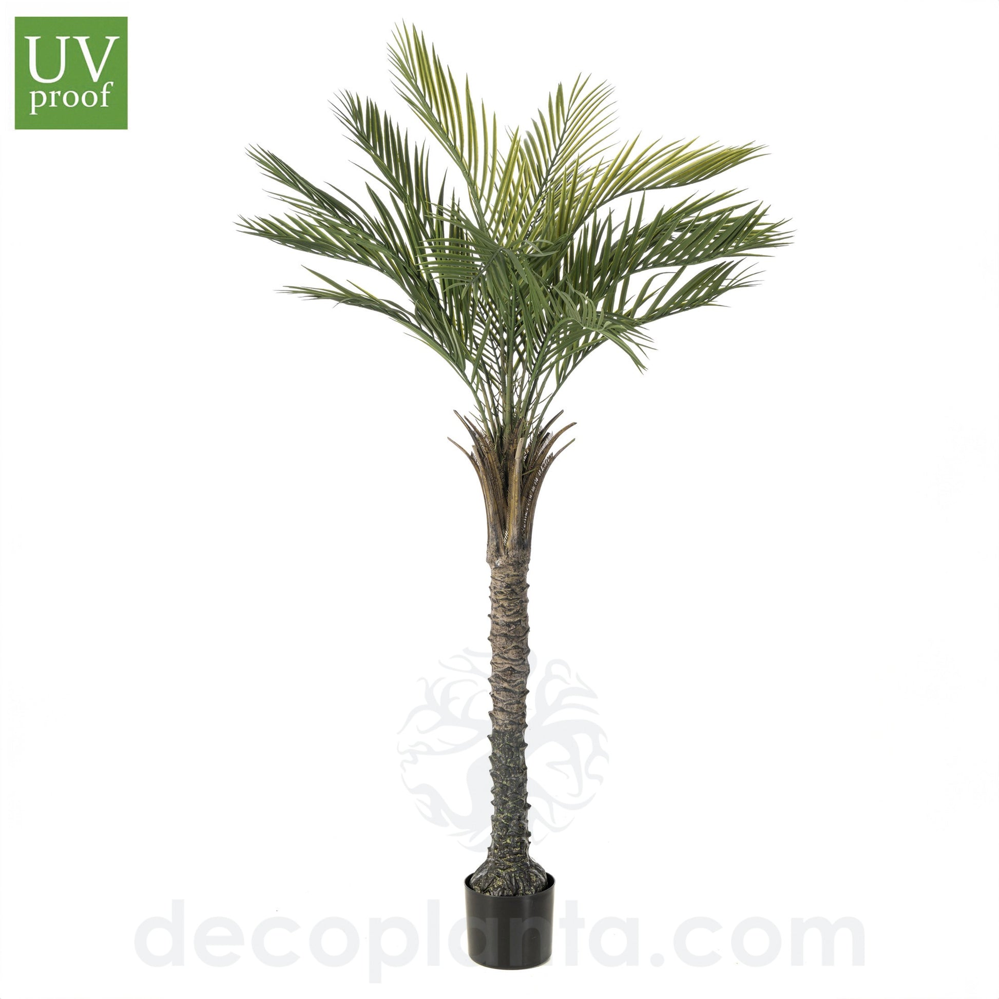 Gran Palmera UV 180 cm