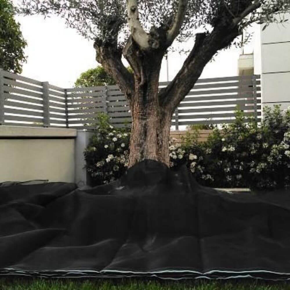 Manto para recoger aceitunas. Manto 3x5m - Bonerva