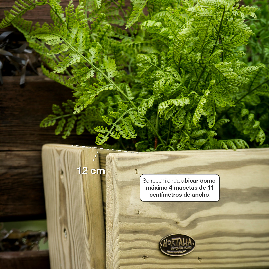 Jardinera Stand Line FLOOR 3B