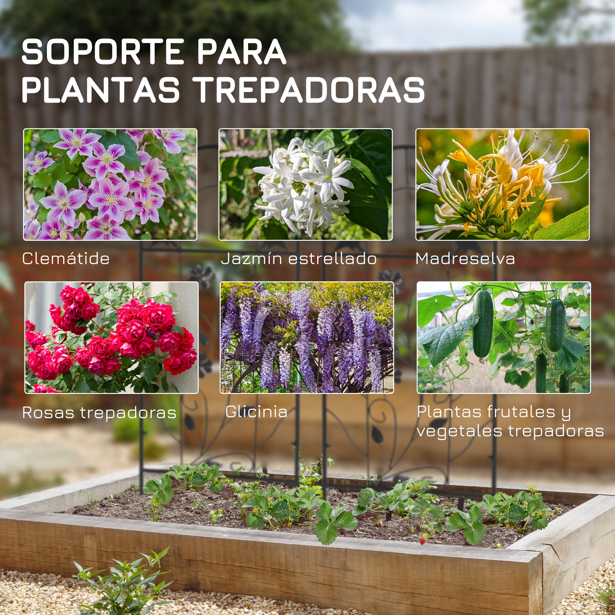Outsunny Juego de 2 Enrejados de Jardín Soportes para Plantas Trepadoras con Marco Metálico para Frutas Verduras Flores Decoración Exterior Patio Terraza 38x98 cm Negro
