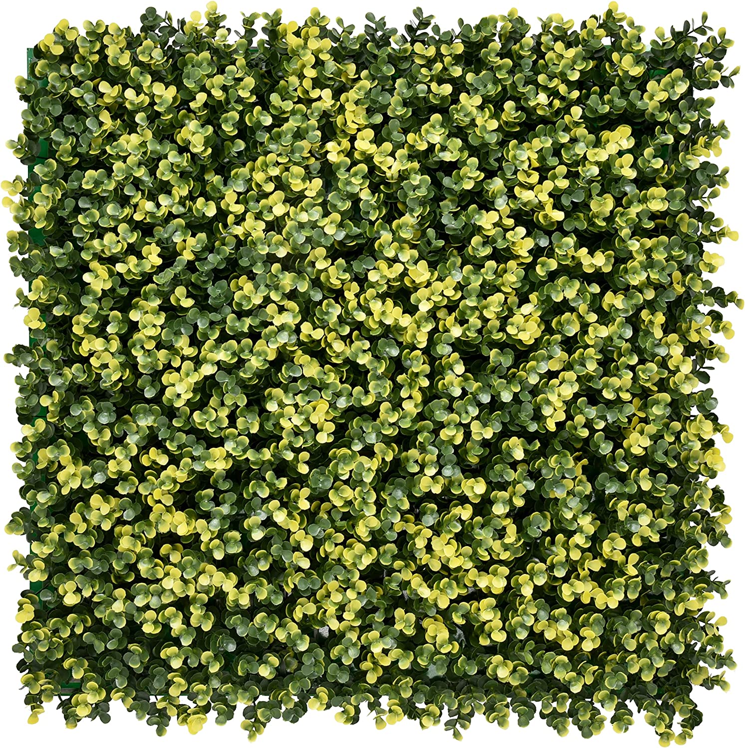 Jardín Vertical Sinica Amarillo. Pack 4 unidades 50 x 50 cm. Bonerva