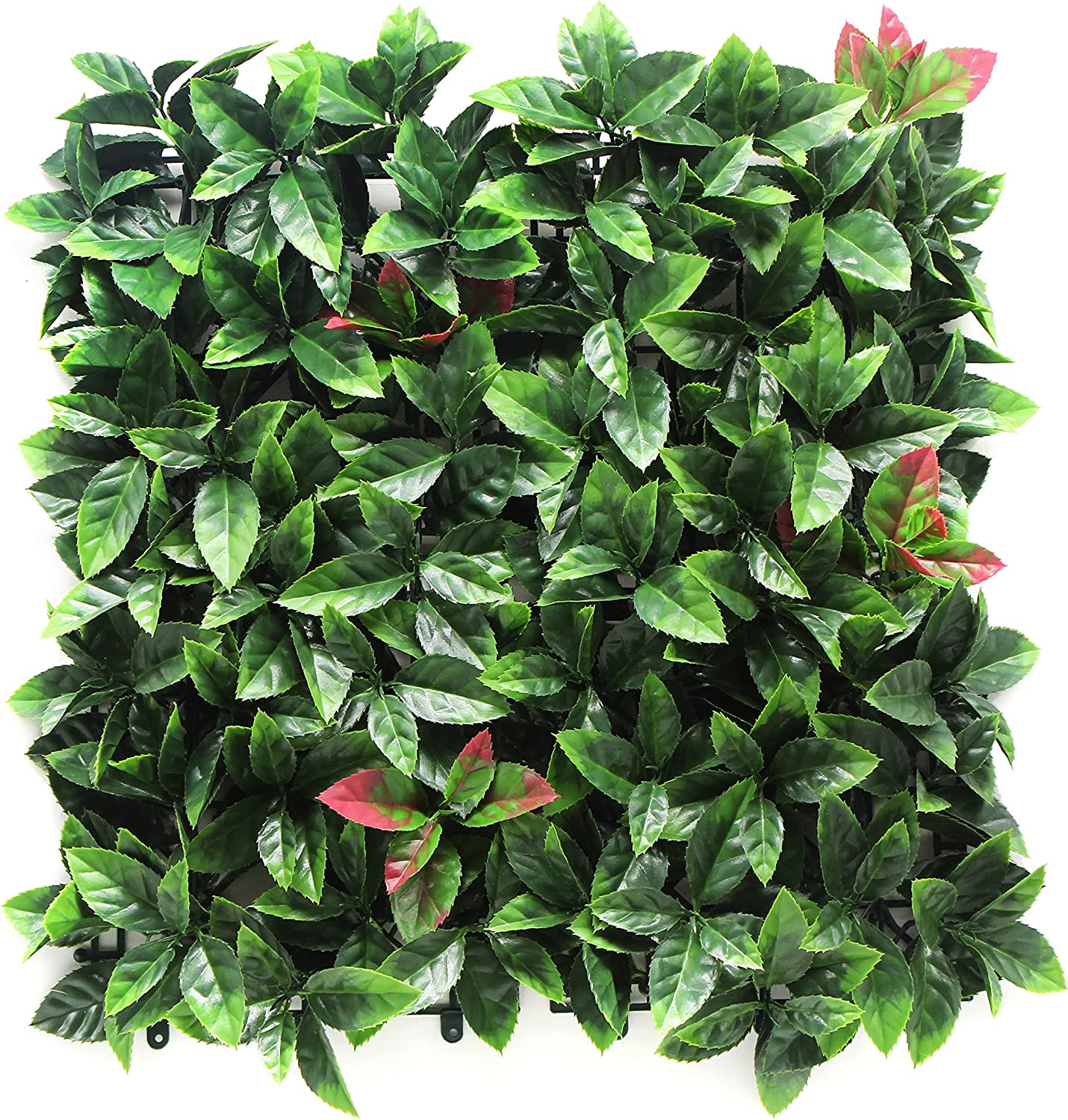 Jardín Vertical Photinia Rojo. Pack 4 unidades 50 x 50 cm. Bonerva