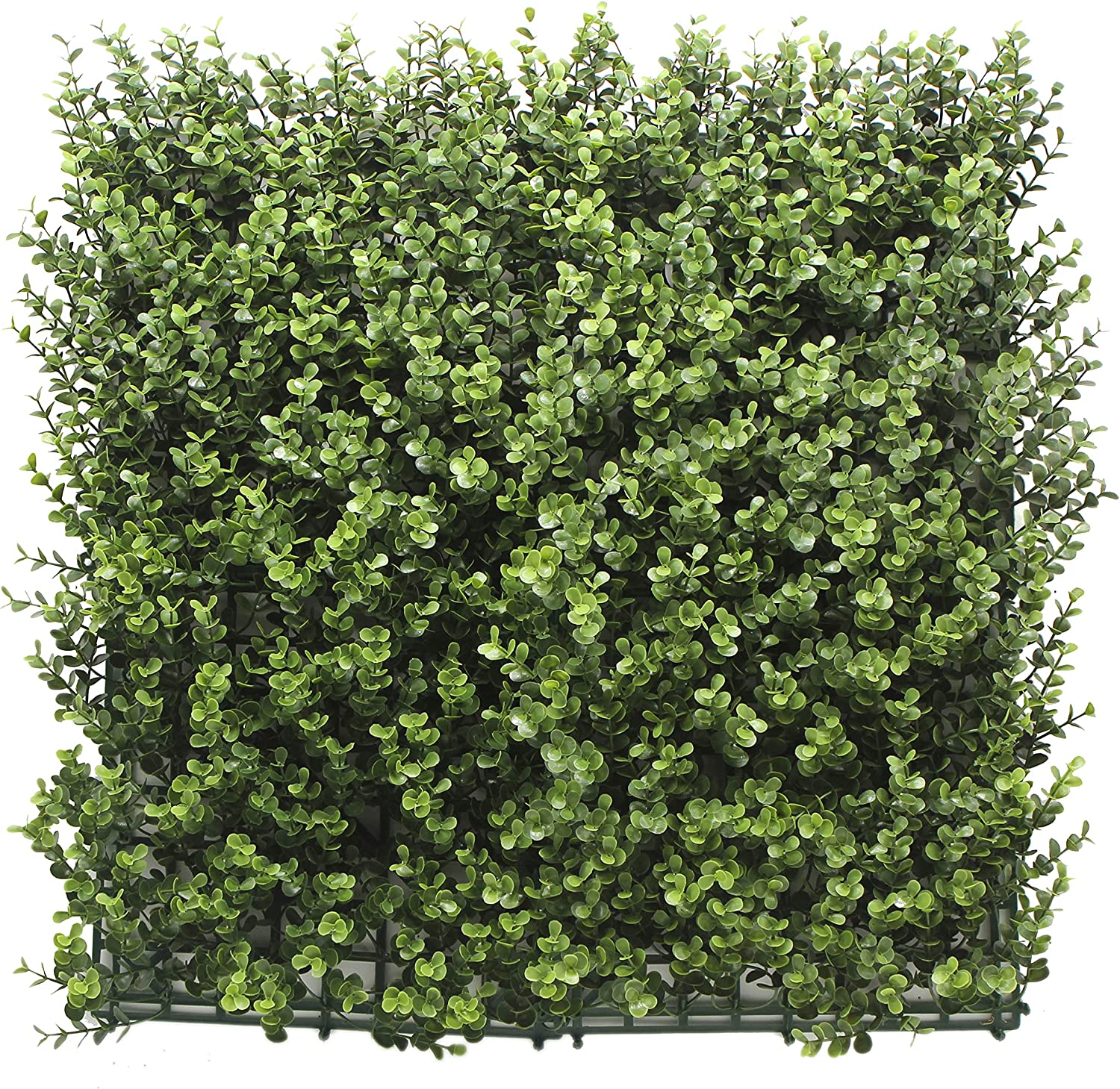 Jardín Vertical Buxus. Pack 4 unidades 50 x 50 cm. Bonerva