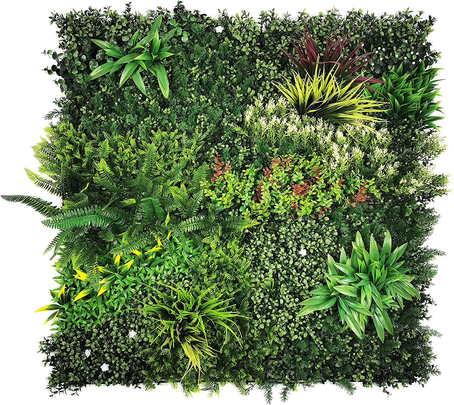 Jardín Vertical Jamaica. 1m x 1m. Bonerva