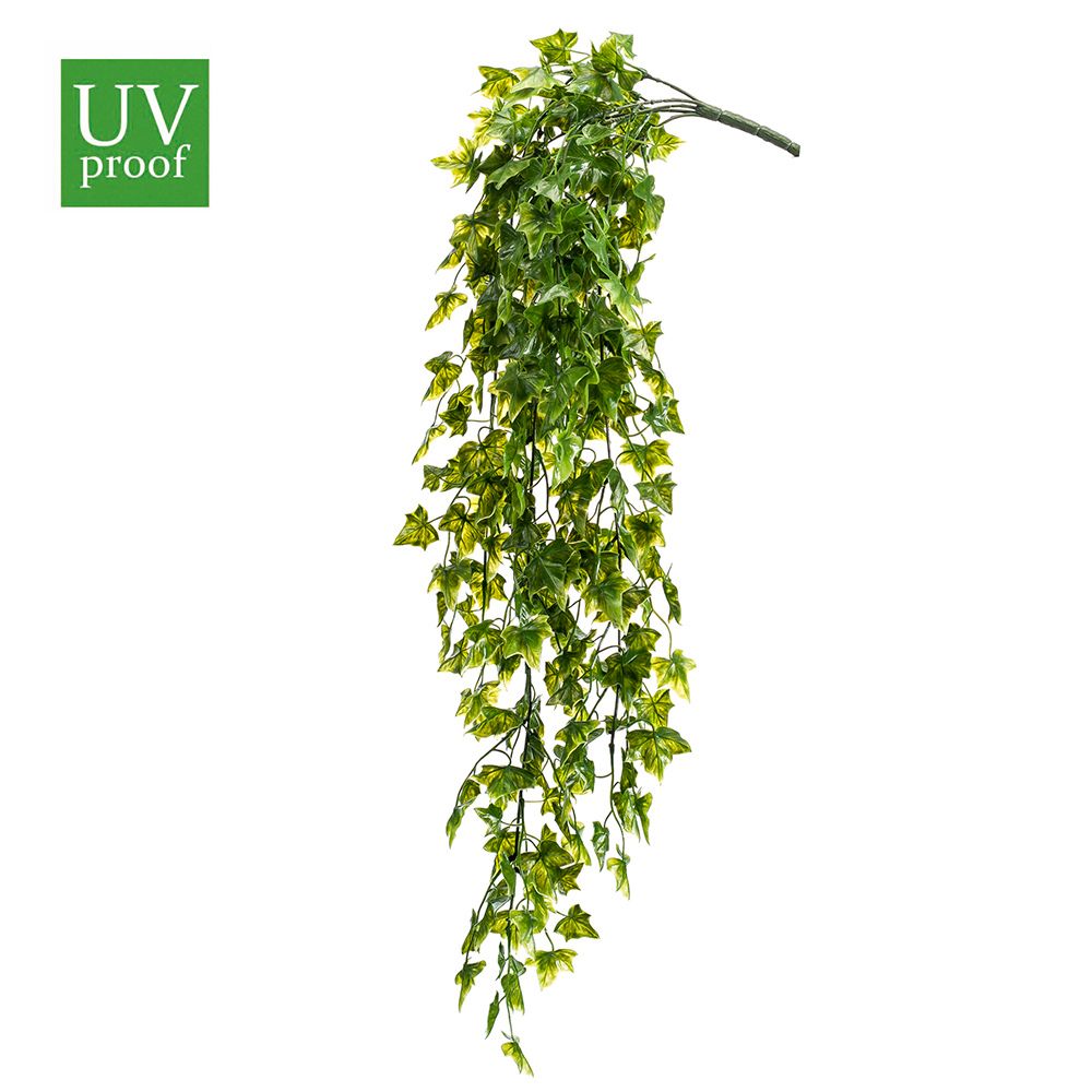 Planta colgante exterior U.V. ARBUSTO HIEDRA de 75cm (Estuche 12 unidades)