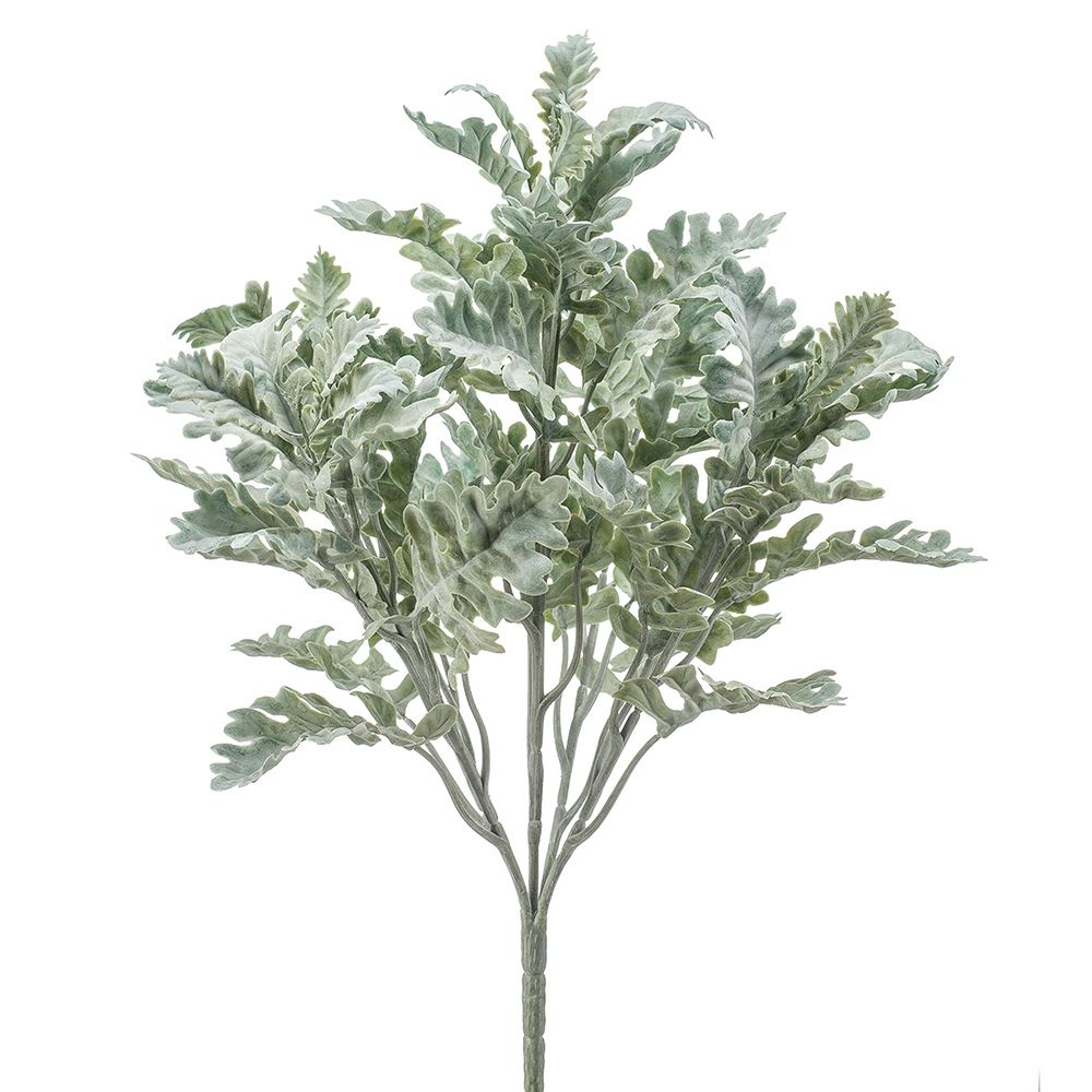 ARBUSTO CINERARIA 42 CM (Pincha y Decora) (6 unidades)