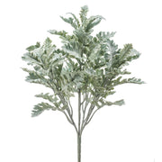 ARBUSTO CINERARIA 42 CM (Pincha y Decora) (6 unidades)