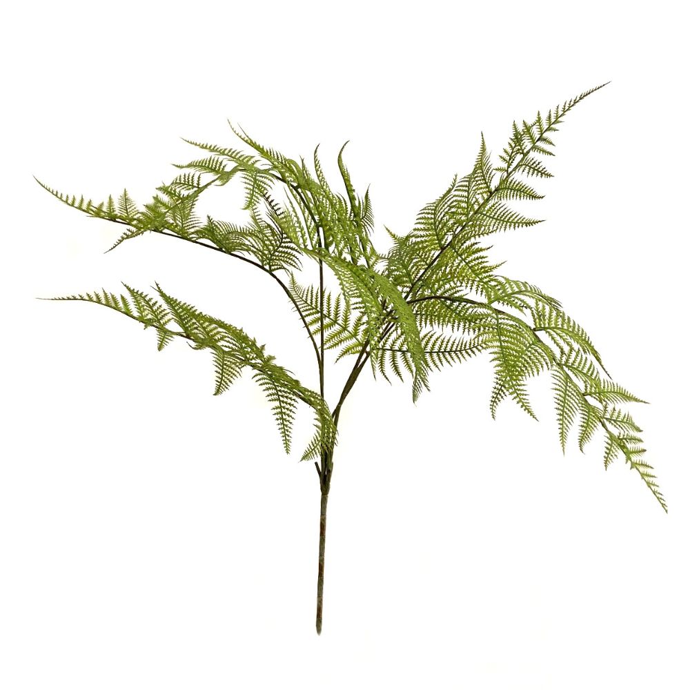 Arbusto Helecho 65 cm (Pincha y Decora) (6 unidades)