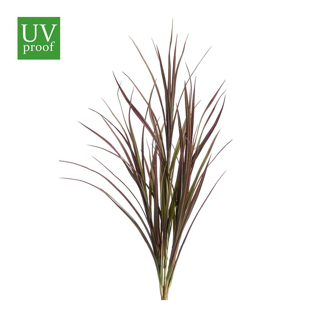 Junco verde intenso, varios tonos de exterior de 90 cm UV Sin macetero (Pincha y Decora). (6 unidades)