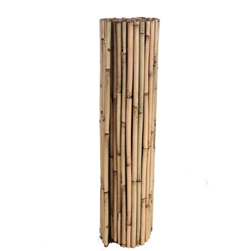 Cañizo Bambú Barnizado Cosido Int. 1x3 M Novedad 2023