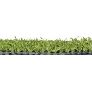 Césped Multijuegos 12mm Verde 2x25 metros