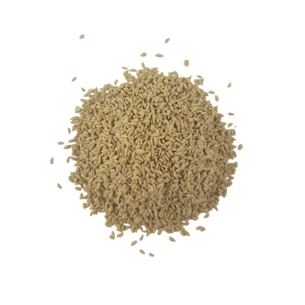 Semillas de Césped Cynodon Dactylon Común - 1 kg
