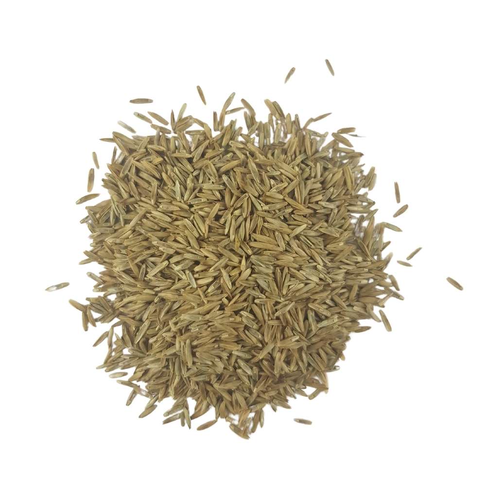 Semilla Césped CT7 - Lolium Perenne 1 kg