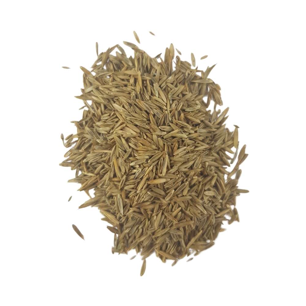 Semillas PACK de Césped Resistente - 1 kg