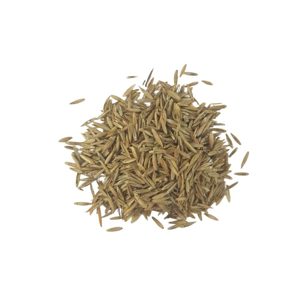 Semilla SOL de Césped Grama Fina - 1 kg