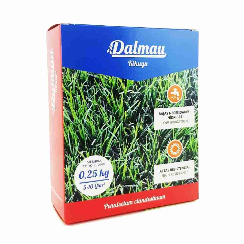 Semillas de Césped WHITTET Kikuyu (Grama Gruesa) - 1 kg