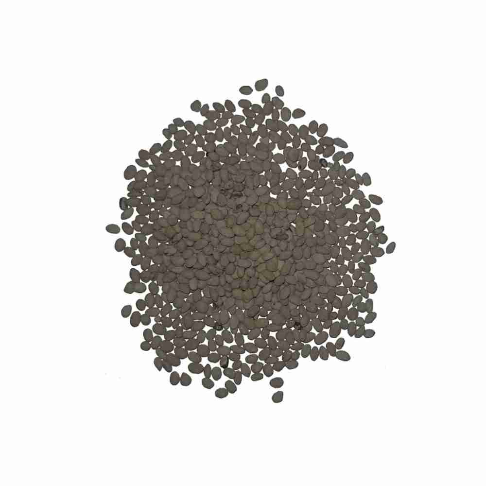 Semillas de césped WHITTET kikuyu (Grama Gruesa) - 0,5 kg