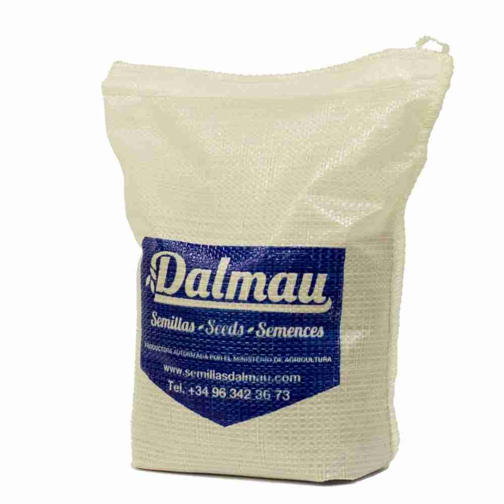 Semillas de Césped  777 CTD- 1 kg