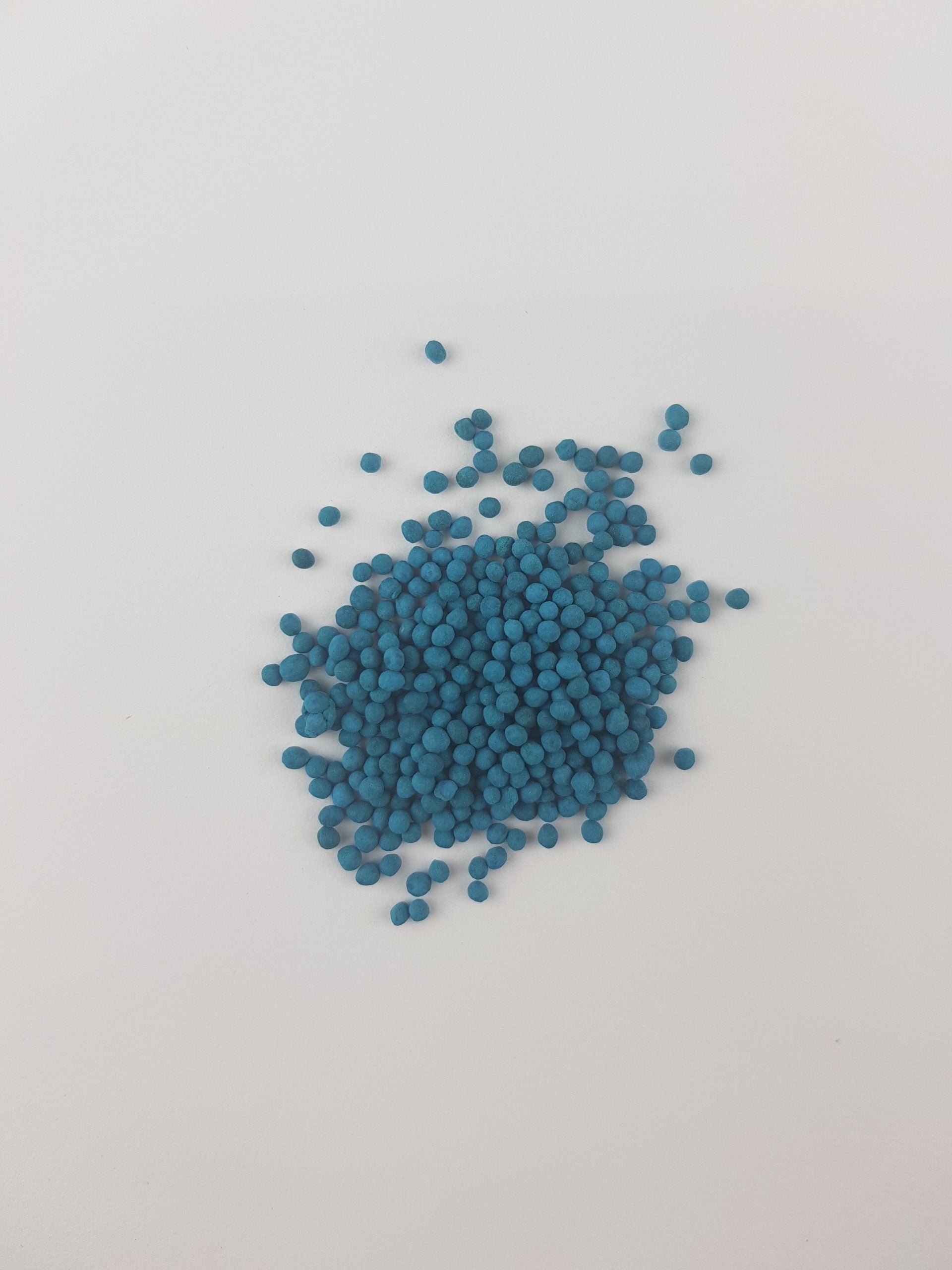Semillas de Césped  Dichondra - 1 kg