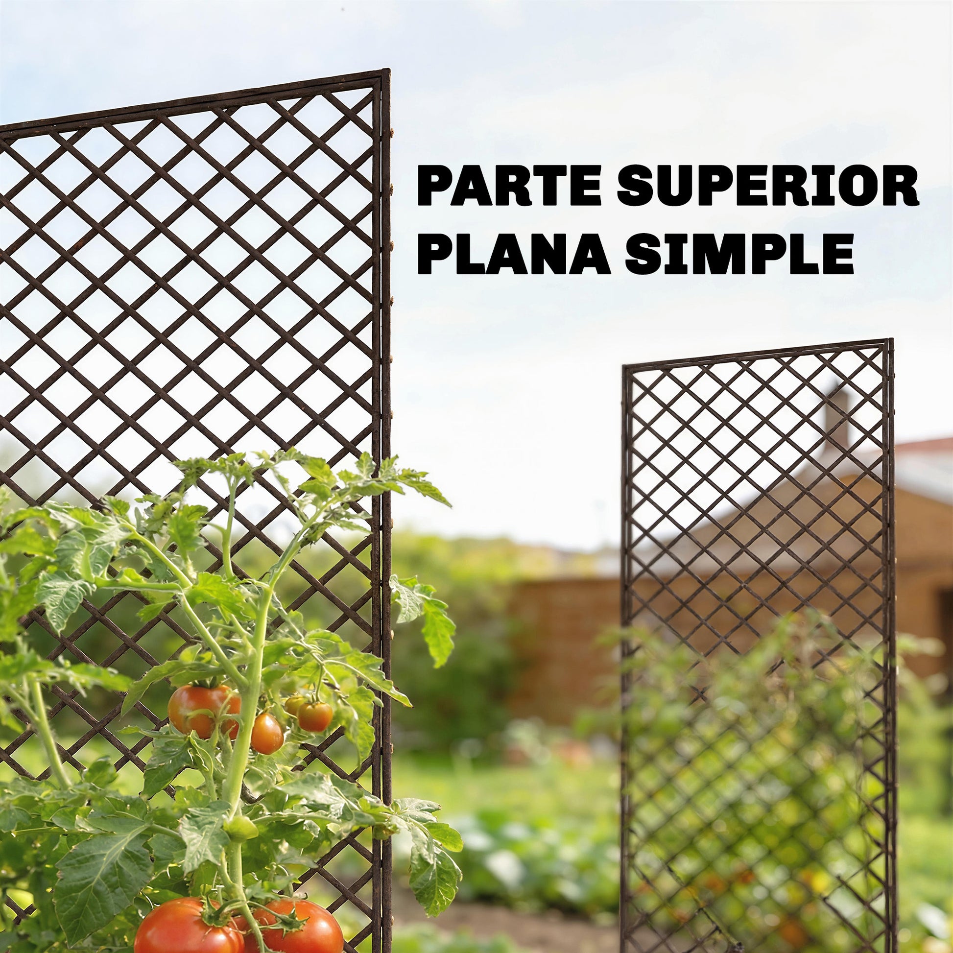 Outsunny Juego de 3 Enrejados de Jardín de Mimbre, Soportes para Plantas Trepadoras con Parte Superior Plana, para Frutas, Verduras, Flores, Decoración Exterior para Patio, 43x112 cm, Madera Natural