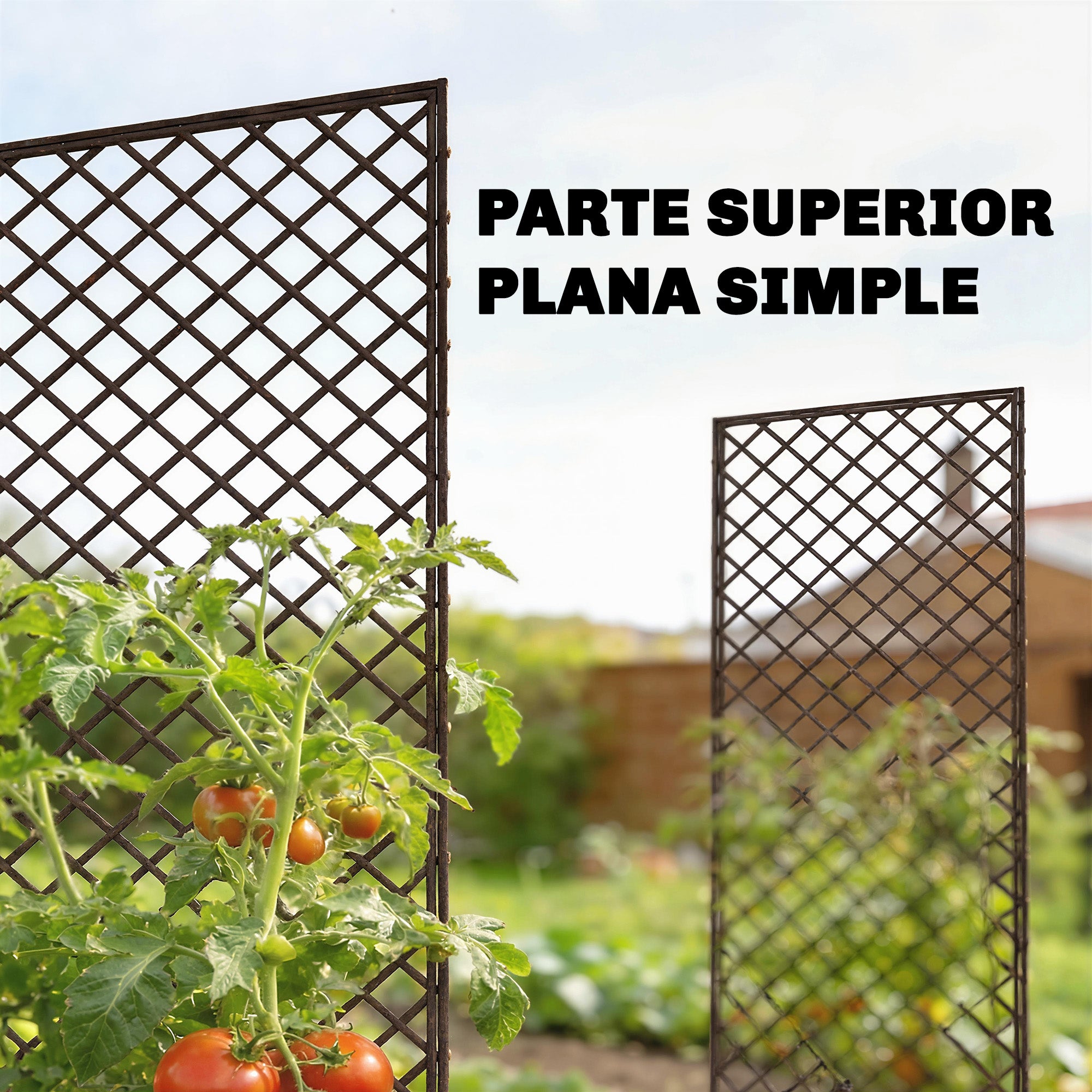 Outsunny Juego de 3 Enrejados de Jardín de Mimbre, Soportes para Plantas Trepadoras con Parte Superior Plana, para Frutas, Verduras, Flores, Decoración Exterior para Patio, 43x112 cm, Madera Natural