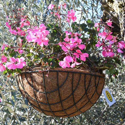 Macetero Colgante Coco 40cm