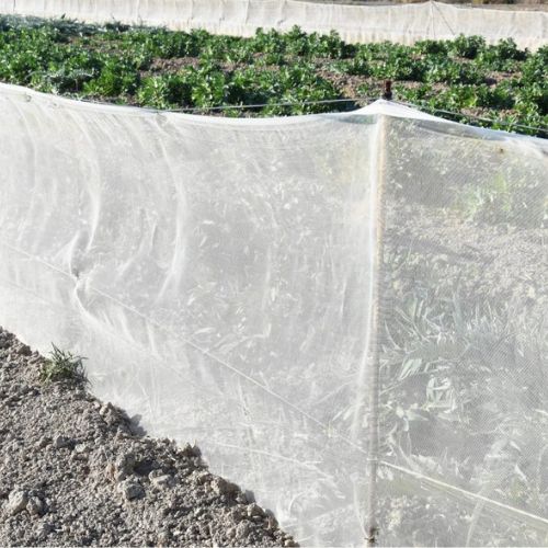 Malla Cortavientos/Anti-Insectos Blanca 1x100 metros