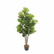 Lira Nature 120