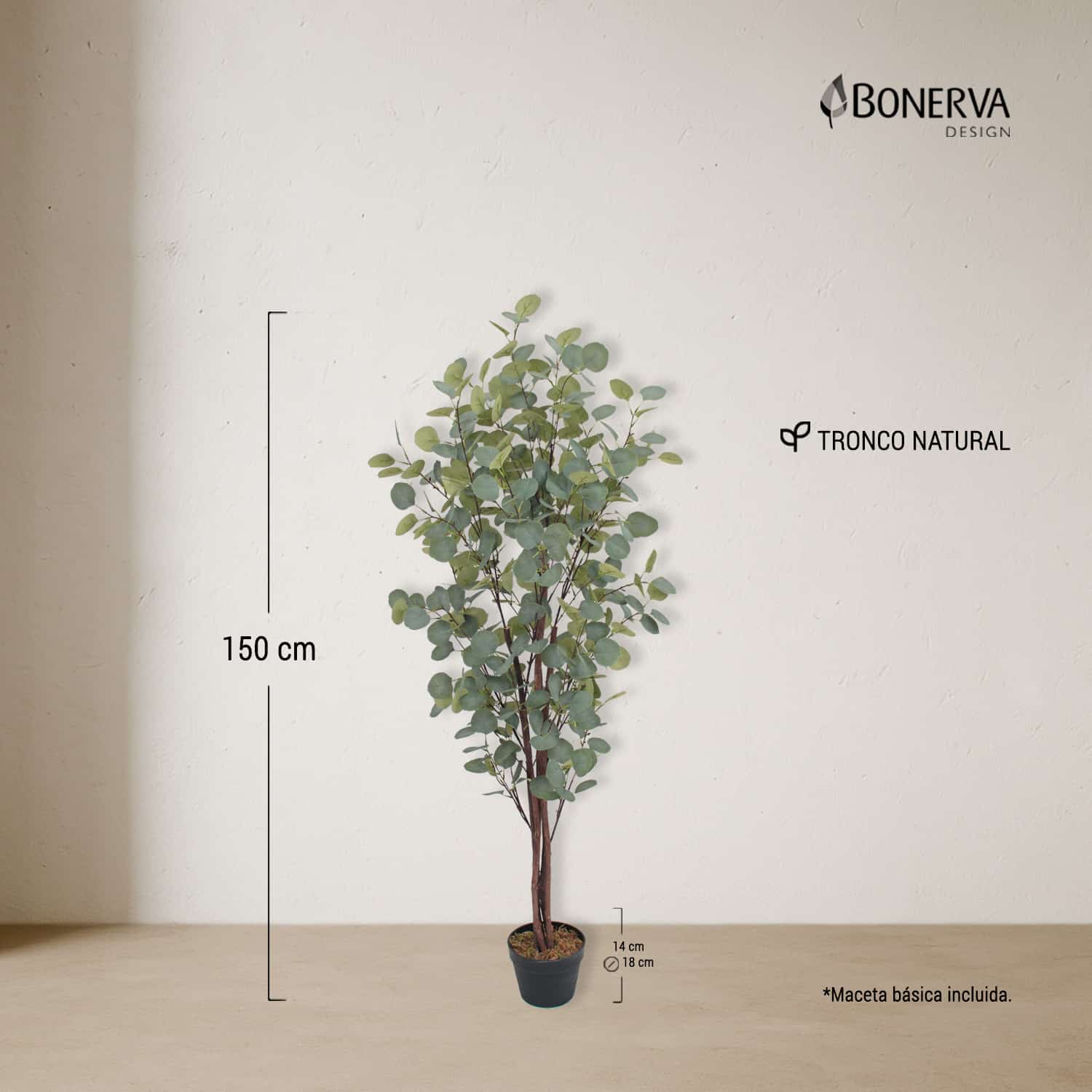 Eucalipto Nature 150