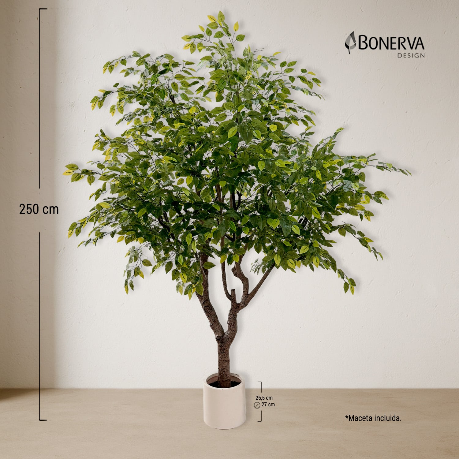 Ficus Luxe 250