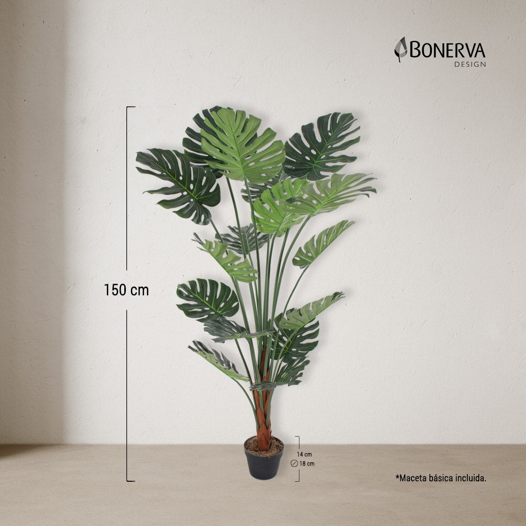 Monstera Deco 150